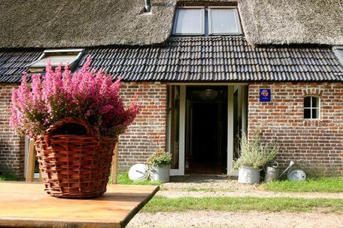 Bed And Breakfast Annen Eksteriør billede